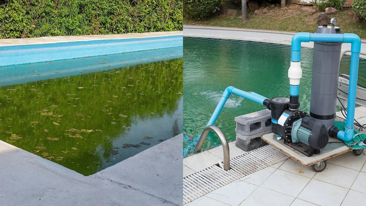 How to Clear a Cloudy Pool: Step-by-Step Guide – Dreame Yard Care