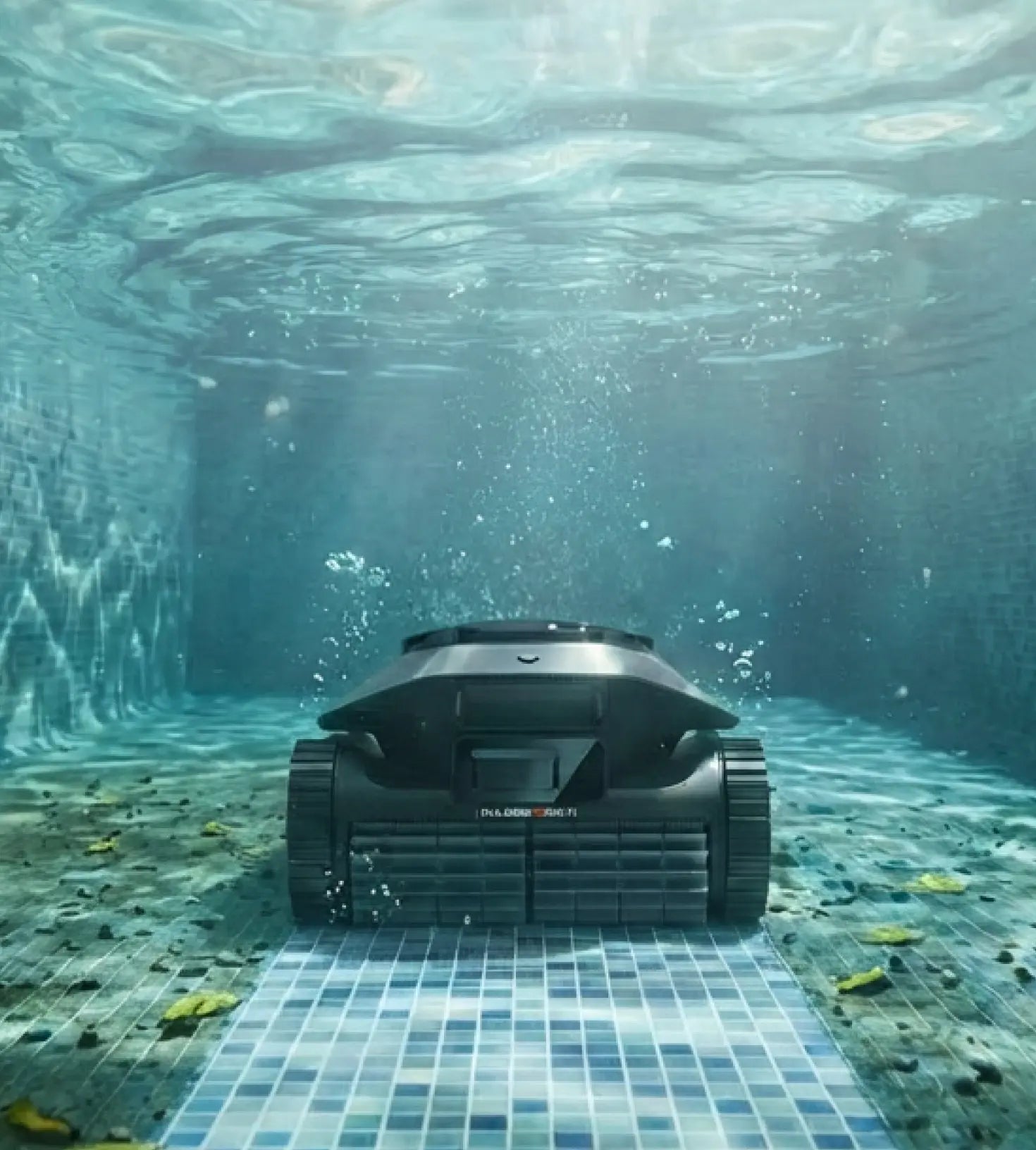 Winter Leaves Hidden Problems