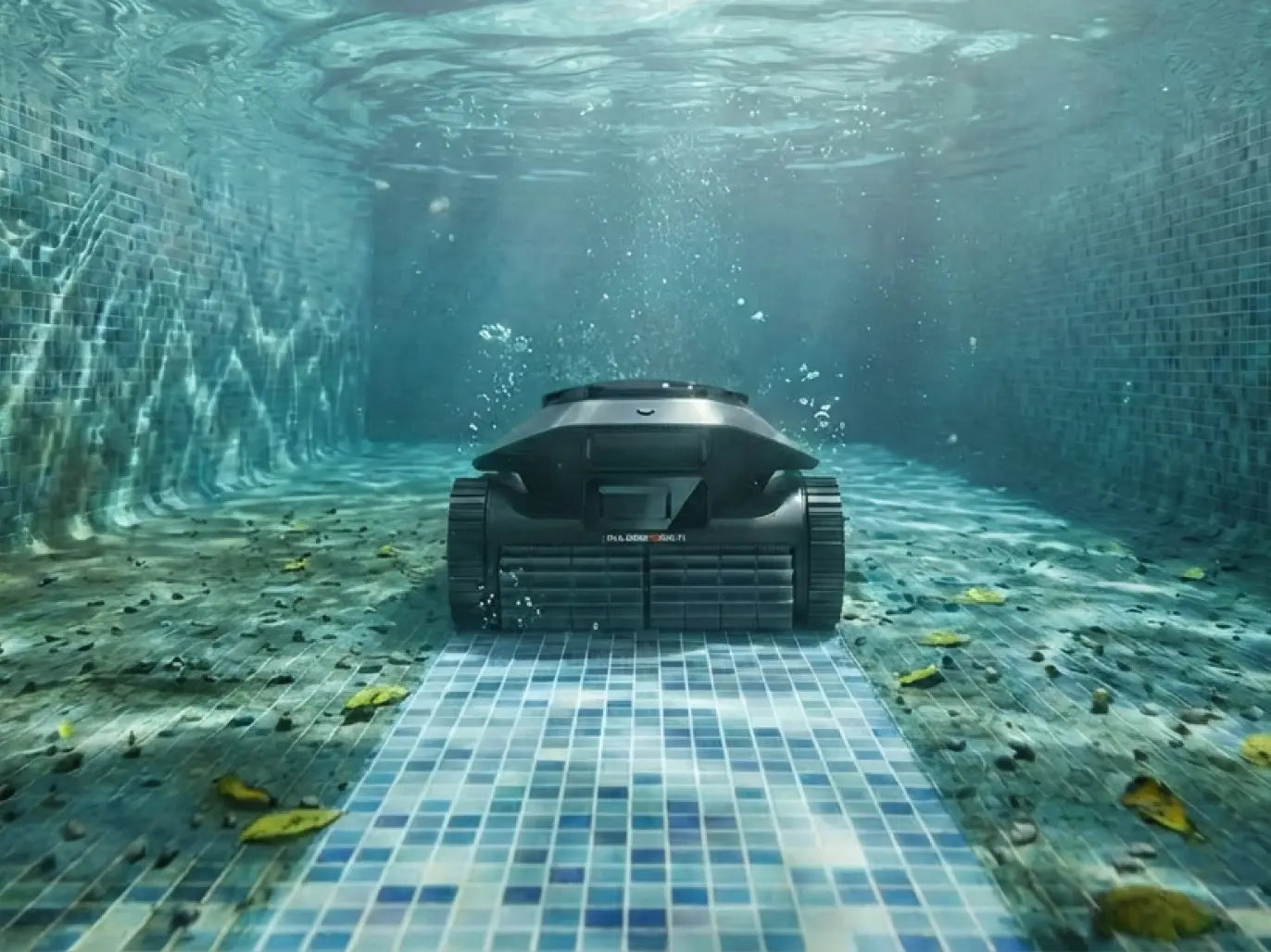 Winter Leaves Hidden Problems