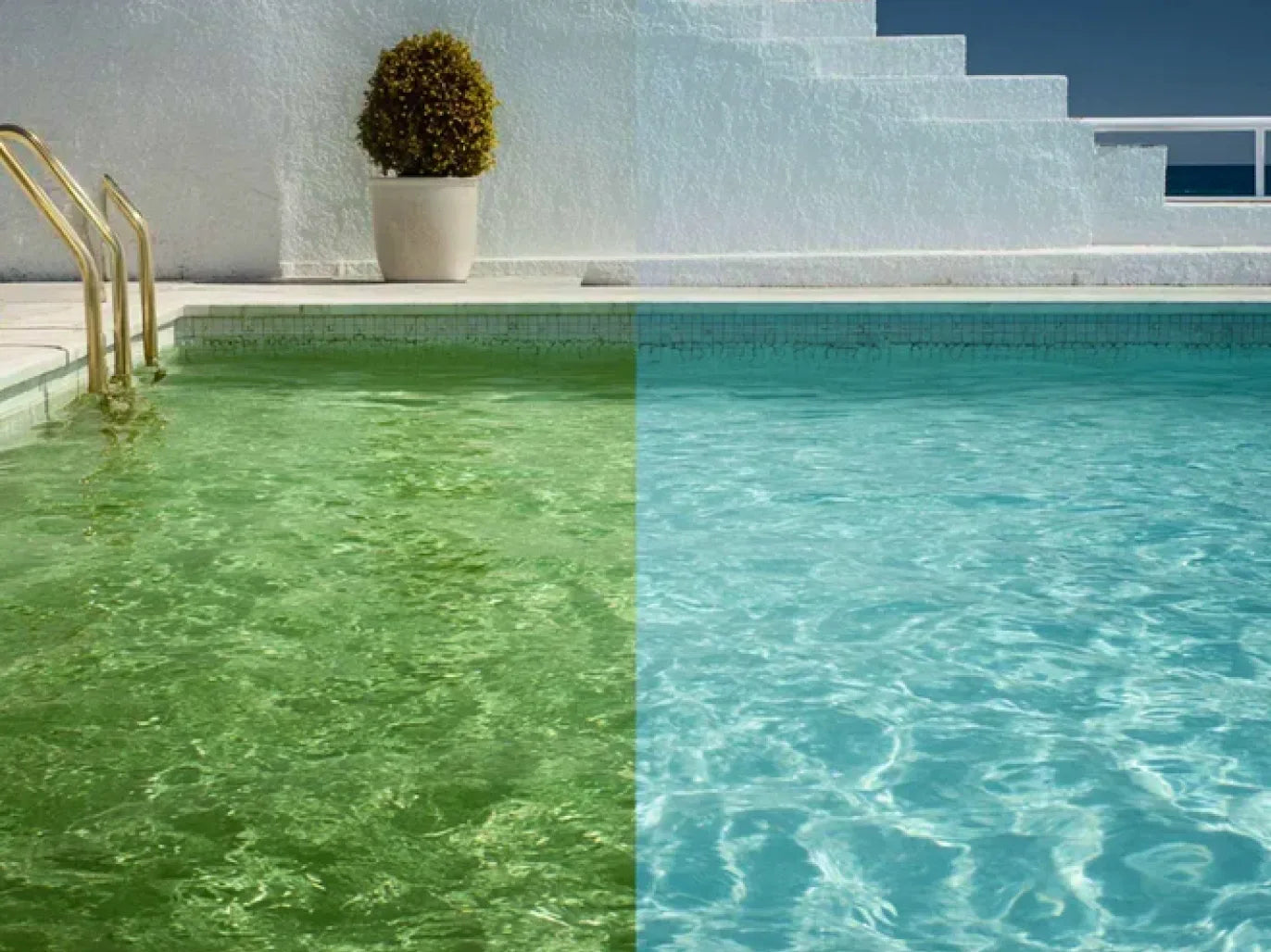 Warmer Water Means Faster Algae Growth