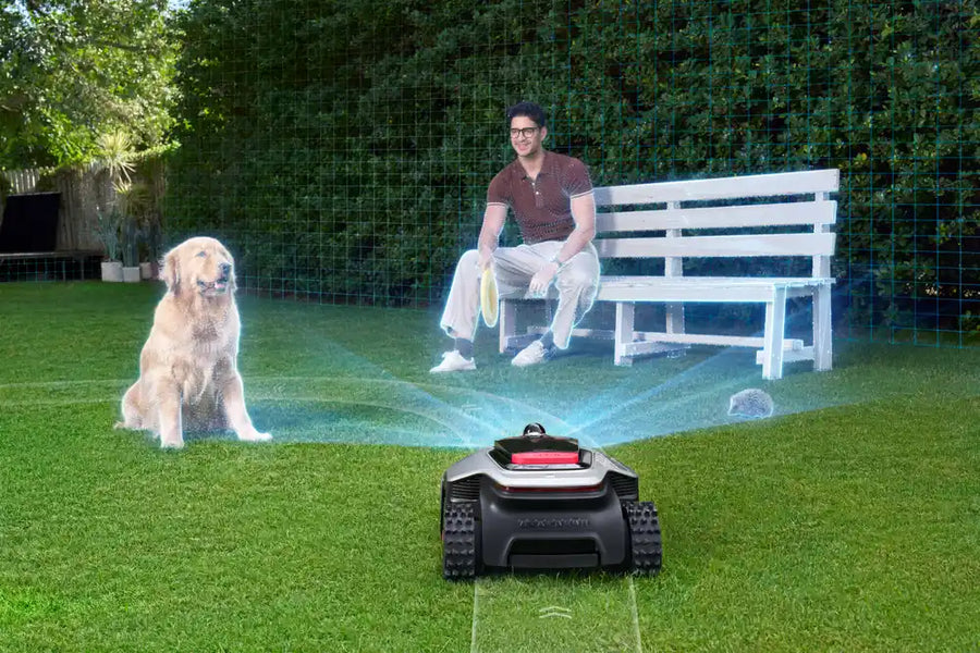 Dreame robot mower scanning a dog, a seated person, and a small object with 3D obstacle detection.
